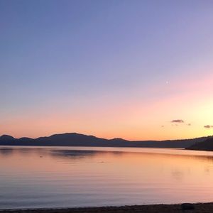 Meet your Posher, Sophia